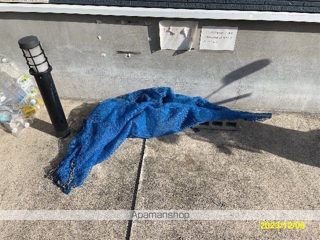 レオネクストパラシオン南明のその他写真