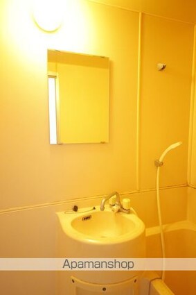 グリーンハイム聖蹟[1R/21.87m2]の洗面所