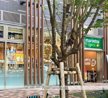 パレ・ホームズ新橋[1LDK/31.31m2]の周辺3