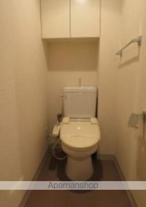 パークキューブ東品川[1R/41m2]のトイレ