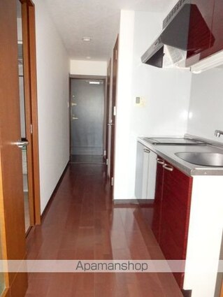 Ｃａｓｔｌｅ　Ｈｉｌｌｓ　柳ケ瀬[1K/33m2]の内装4