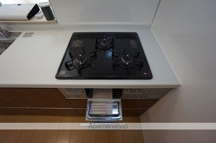 サンフォレスト領下[1LDK/47.79m2]のキッチン