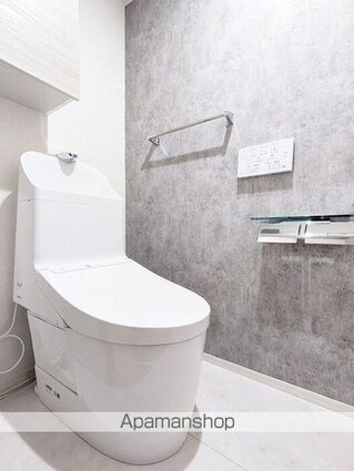 セレスティア大谷田ＩＩ[1LDK/40.94m2]のトイレ