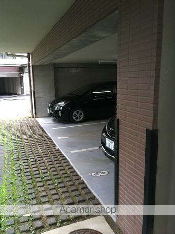 アルファリラのその他写真