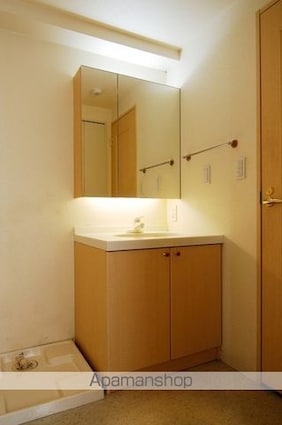 レジディア自由が丘[2LDK/54.8m2]の洗面所