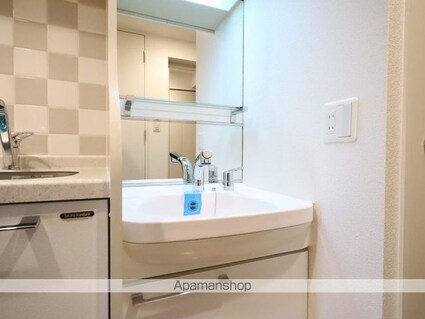 プレサンス泉アーバンゲート[1R/20.16m2]の洗面所