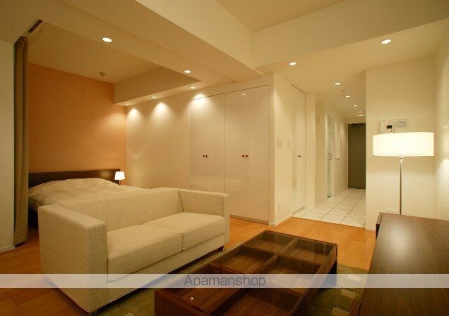 カスタリア銀座[1R/40.03m2]のロビー1