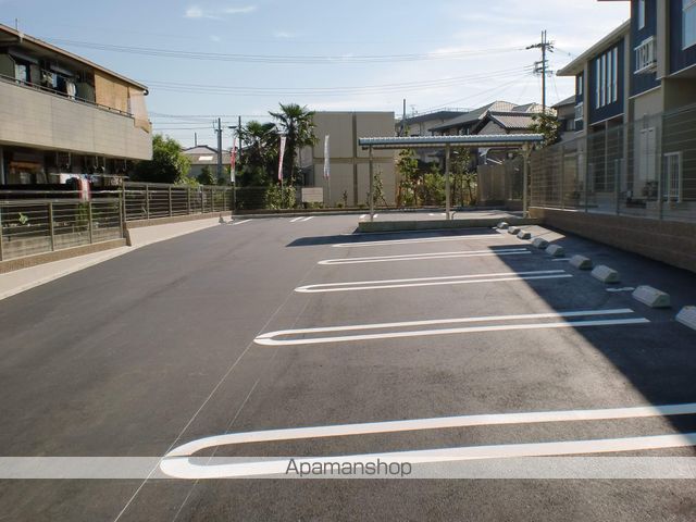 プリムラ TK01のその他写真