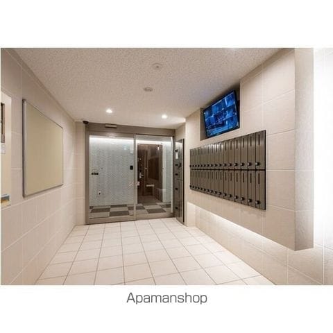 セントポーリアエールのその他写真