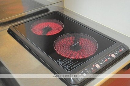 レオパレスアルバⅡ[1K/19.87m2]のキッチン