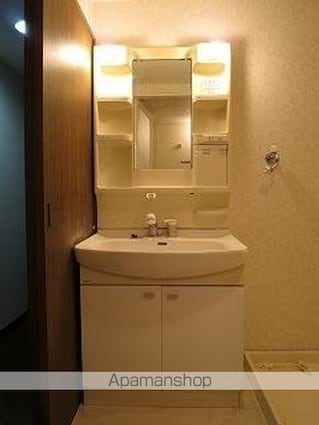 ラフィネ大崎[2LDK/54.16m2]の洗面所