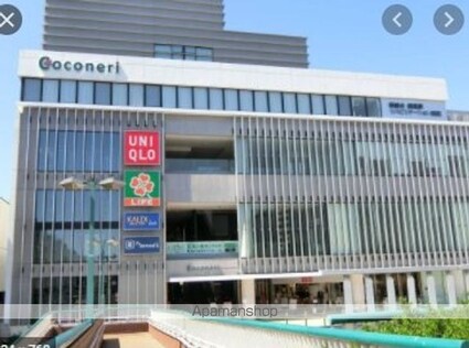 東京都練馬区練馬３丁目[1K/20.02m2]の周辺5