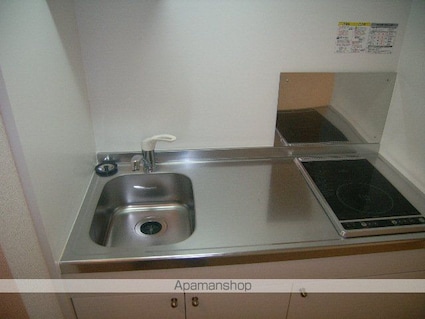 レオネクスト立花[1K/27.35m2]のキッチン