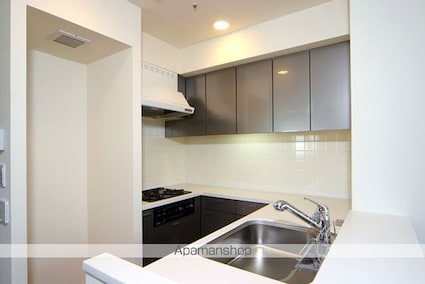 東京都千代田区神田三崎町３丁目[1K/34.39m2]のキッチン