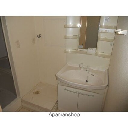 メゾン・ド・フローラＩＩ[2DK/53.97m2]の洗面所