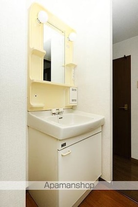 フォブールタイセイ[3DK/57.97m2]の洗面所