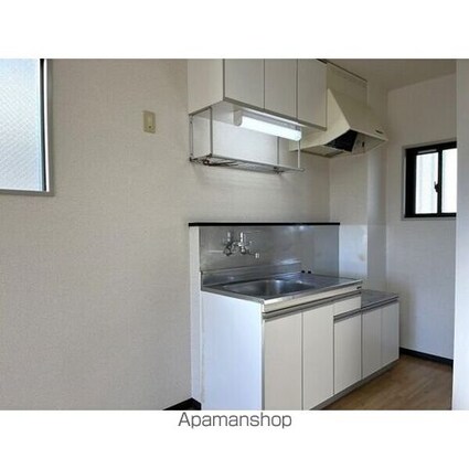 ツインパレスコイズミＧ[1LDK/43.2m2]のキッチン3