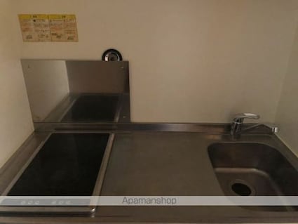 レオネクストグラシューズ[1K/28.02m2]のキッチン