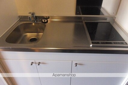 レオネクストＨＡＲＵ[1K/21.33m2]のキッチン1