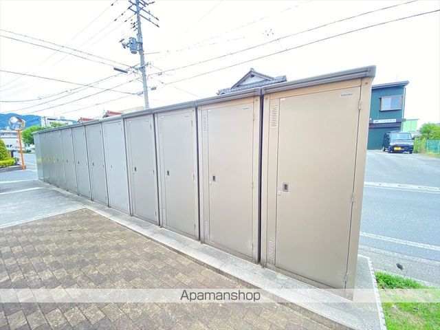 サンフラワーのその他写真