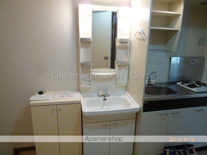 メゾンドプチシャン[1K/24.8m2]の洗面所