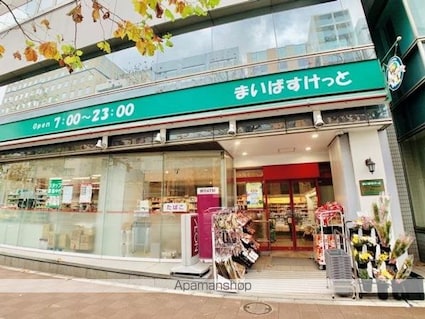 Ｂｒｉｌｌｉａ　ｉｓｔ　銀座東[1R/24.33m2]の外観9
