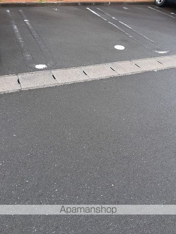 LIVERTY DREAM VIIのその他写真
