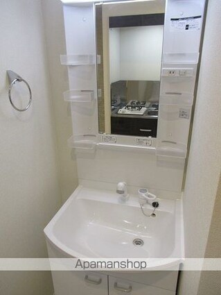 ハーモニーテラス板橋宮本町[1R/12m2]の洗面所