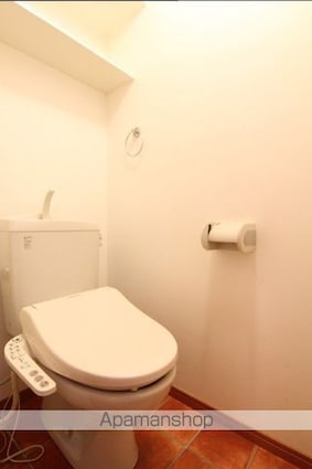 ドルーク道後南町[1K/31.46m2]のトイレ