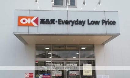 アップルビラＢ棟[2DK/36.9m2]の周辺2