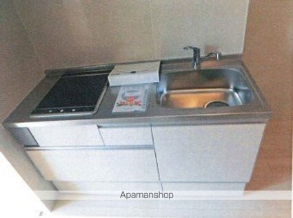 Ｓｕｎｌｉｇｈｔ[1K/27.83m2]のキッチン