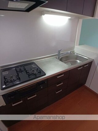 パークサイド大泉[2LDK/57.19m2]のキッチン