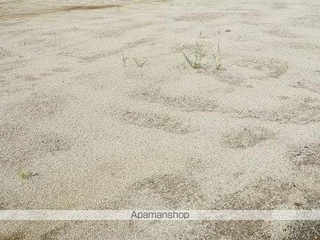 セレスティア扇VIIの外観写真