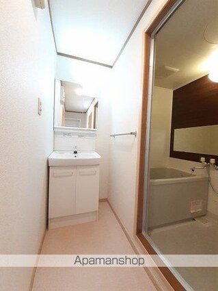 スカイハイツ五月[2LDK/58.53m2]の洗面所