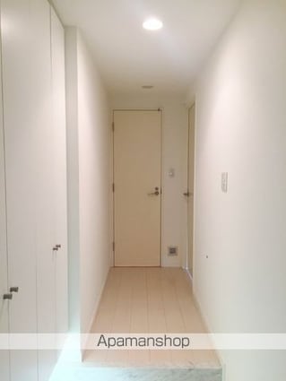 カスタリアお茶の水[1LDK/63.13m2]の玄関