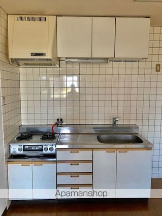 タイハイツ焼田[2LDK/52.29m2]のキッチン