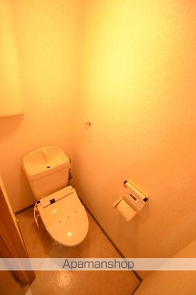 キャロットハウス[1LDK/47.56m2]のトイレ