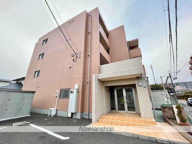 カモミール