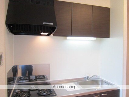 レオネクストカンパニュラ[1LDK/46.94m2]のキッチン