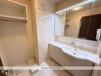 プレミアムⅩⅠ・ⅩⅡ番館　Ｂ棟[1LDK/45.84m2]の洗面所