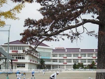 メゾン・ド・セビアン[1LDK/42.2m2]の周辺5