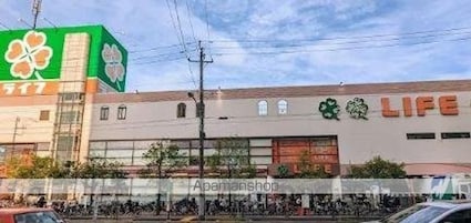 ルピナス・住吉[1K/28.34m2]の周辺1