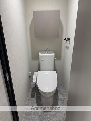 メインステージ板橋志村Ⅲ[1LDK/35.95m2]のトイレ