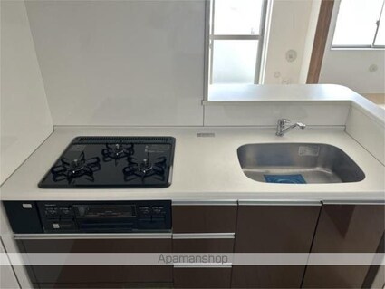 チェスナット　西大島[1SLDK/52.51m2]のキッチン