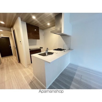 コンフォリア・リヴ文京護国寺[2LDK/53.7m2]のキッチン