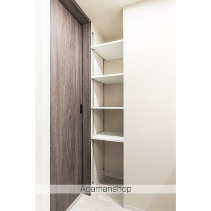 デュオフラッツ品川戸越[1LDK/27.86m2]の収納