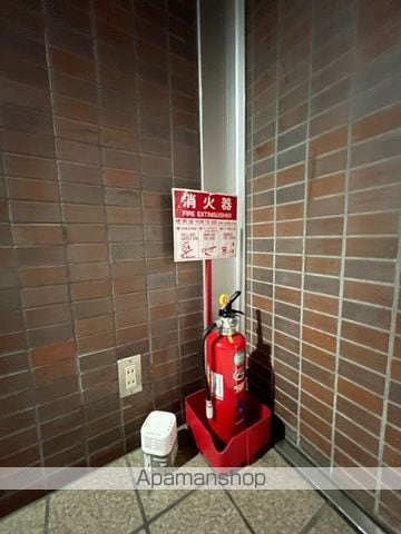 ポートレイトのその他写真
