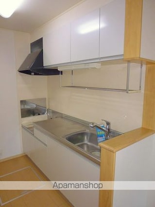 セントラルパークサイド市坪[2LDK/55.42m2]のキッチン