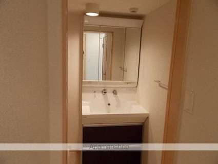 シーダーエース[1LDK/43.67m2]の洗面所