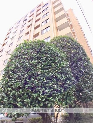 東建ニューハイツ市ヶ谷[1R/26.9m2]の外観6